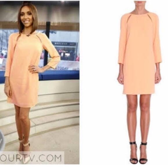 Tibi Alison Peek a Boo Long Sleeve Shift Dress Apricot Orange Wedding Guest ASO - Picture 2 of 15